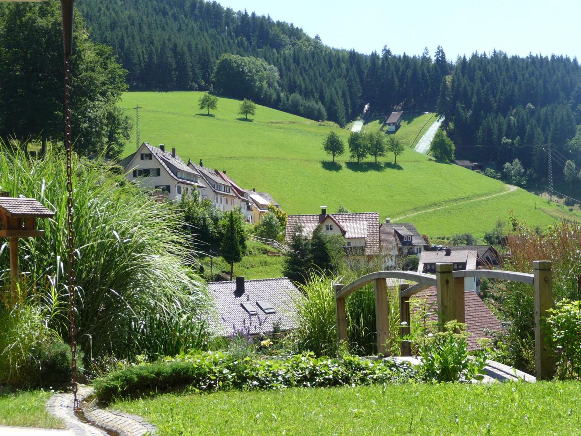 Flair Hotel Adlerbad Bad Peterstal-Griesbach Εξωτερικό φωτογραφία