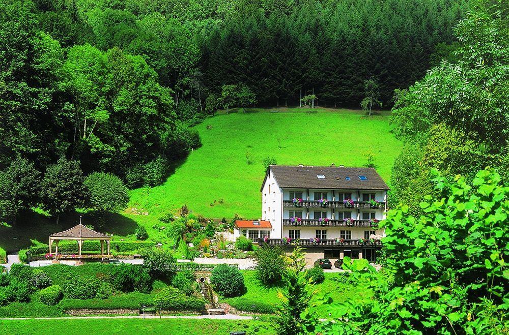 Flair Hotel Adlerbad Bad Peterstal-Griesbach Εξωτερικό φωτογραφία