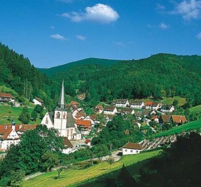 Flair Hotel Adlerbad Bad Peterstal-Griesbach Εξωτερικό φωτογραφία